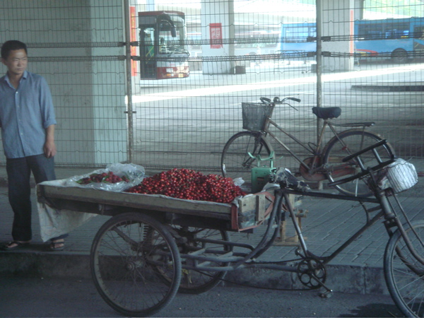 [Man+selling+cherries.jpg]