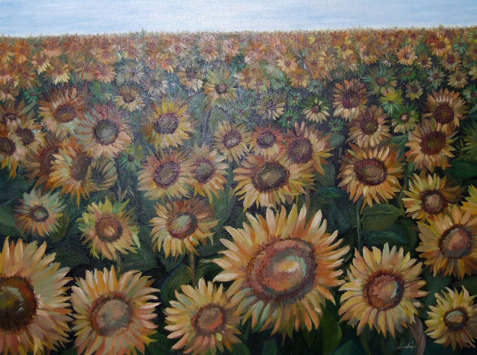 Tournesols