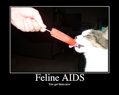 FelineAIDS.png