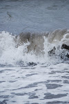 Splashing along the beach