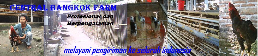 Central  Bangkok Farm