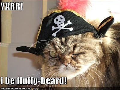 pirate-cat.jpg
