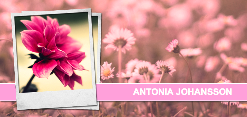 Antonias blogg