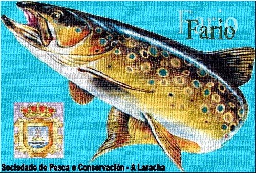 S.P.C.R. FARIO