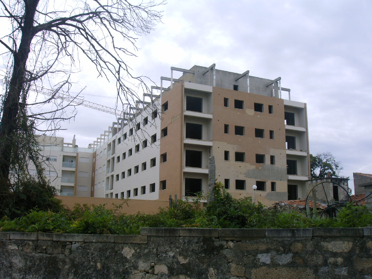 [IMAG0024.JPG]