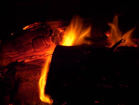 [fire1.jpeg]