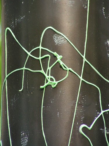 [string.jpg]
