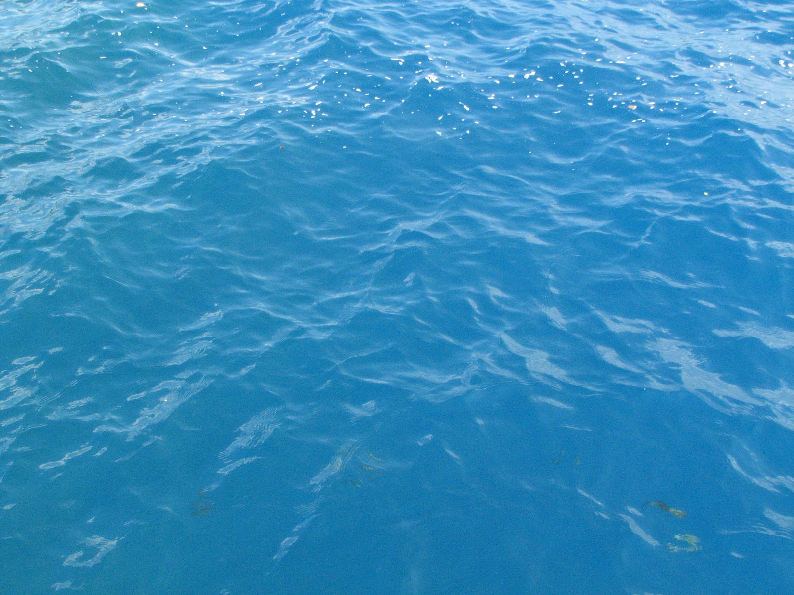 [IMG_5585.JPG]