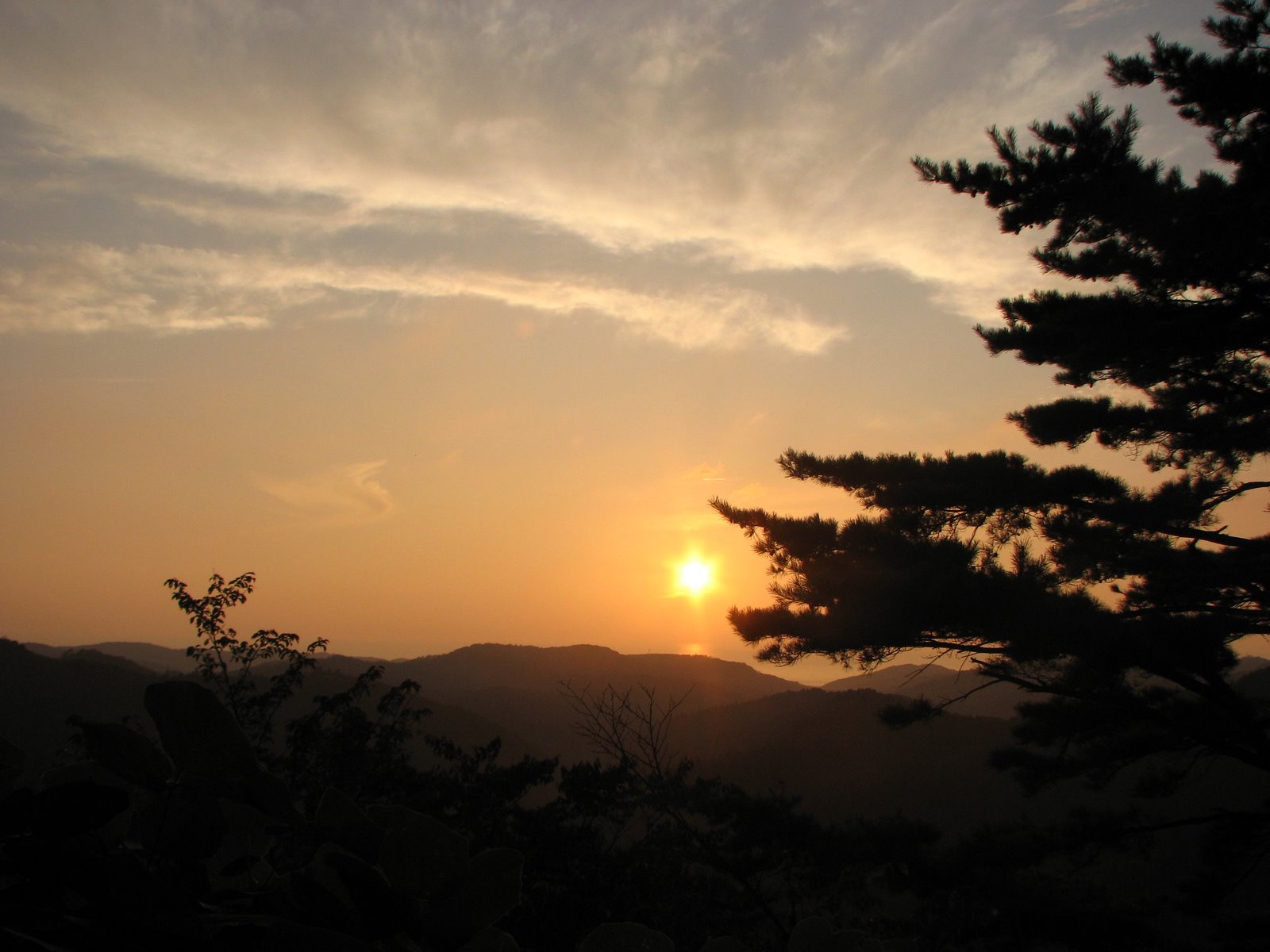 [IMG_5744.JPG]
