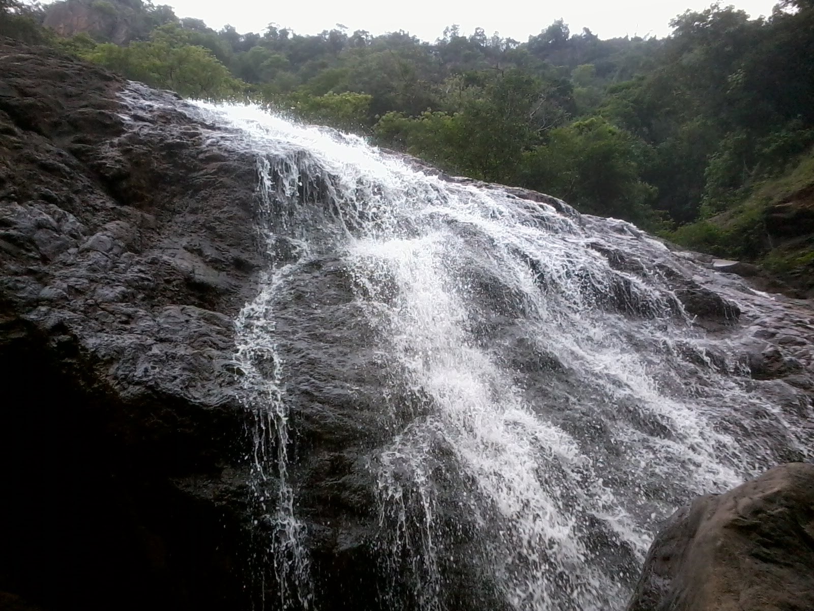Pkgaran's Blog Travelogue Kalvarayan Hills Periyar Falls Megam Falls