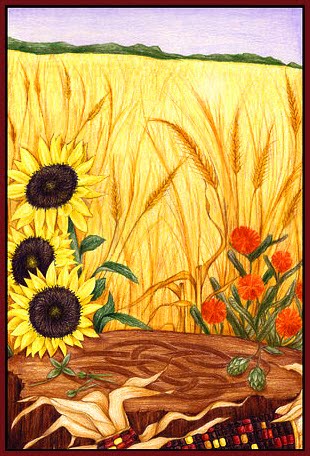 The Provenance Press Guide to the Wiccan Year by Judy Ann Nock The Provenance Press Guide to the Wiccan Year by Judy Ann Nock