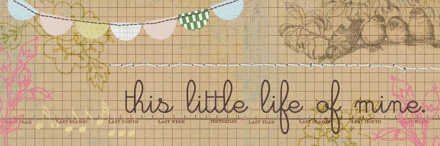 this little life of mine