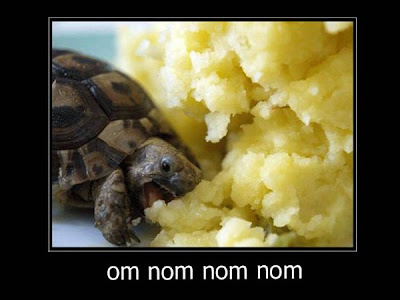 Turtle_Om_Nom_Nom.jpg