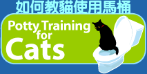 Potty Training for cats