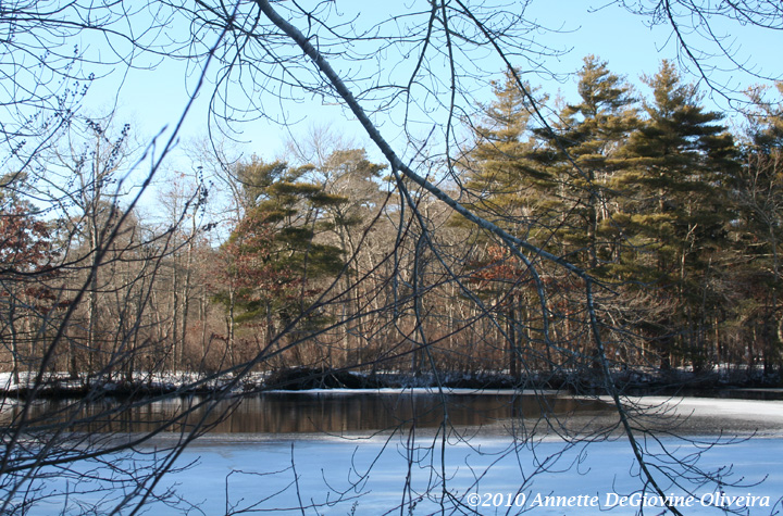 shirley island island images southaven park shirley new york shirley island island images southaven park shirley new york