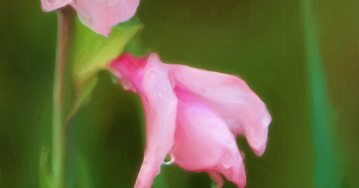 In Love Of That Momemnt And Eternity ...