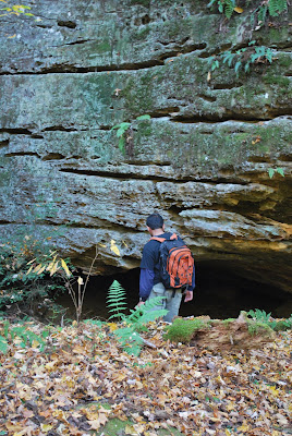 A Picture Is Worth A Thousand Words Daniel Boone National Forest