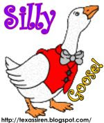 SILLY GOOSE AWARD