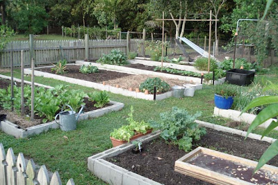 Vegetable gardening - Down to Earth