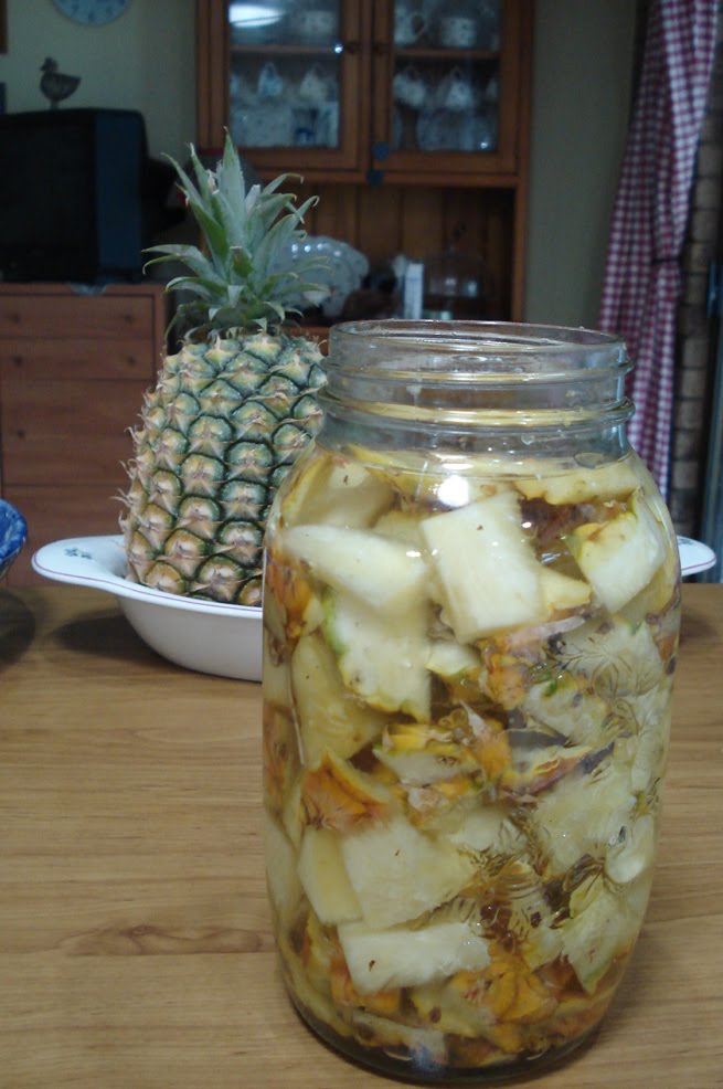 Wild fermenting making vinegar Down to Earth