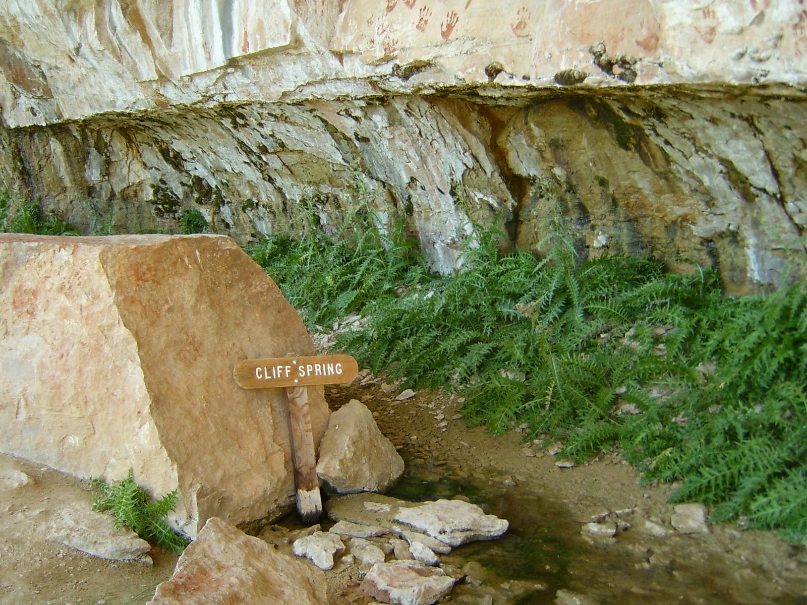 [cliff+spring+trail+09.JPG]