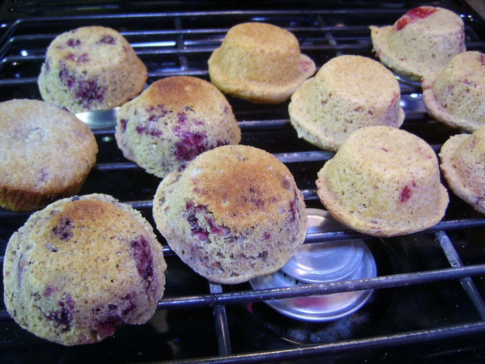 [berry+muffins.JPG]