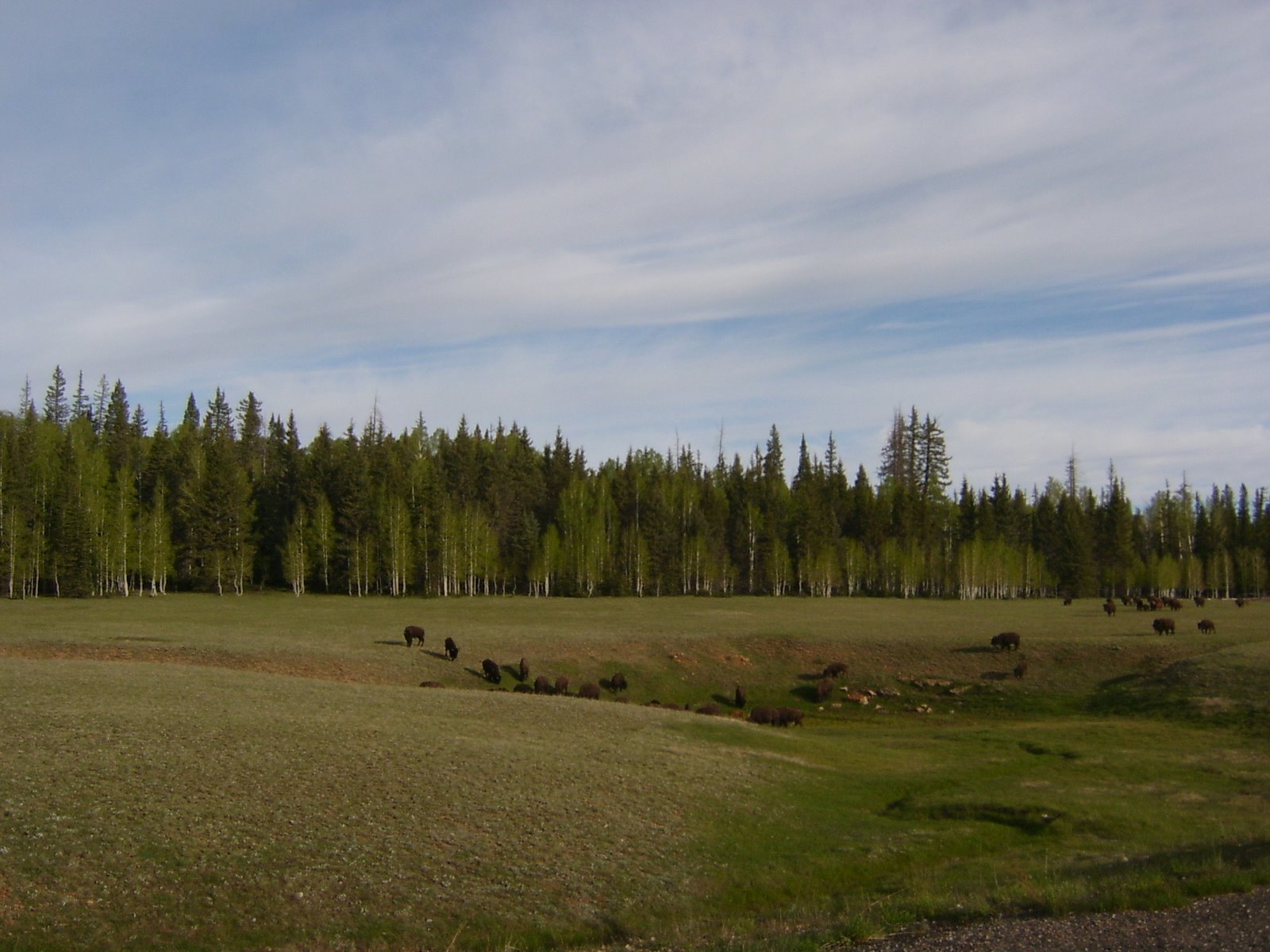 [S4200176.JPG]