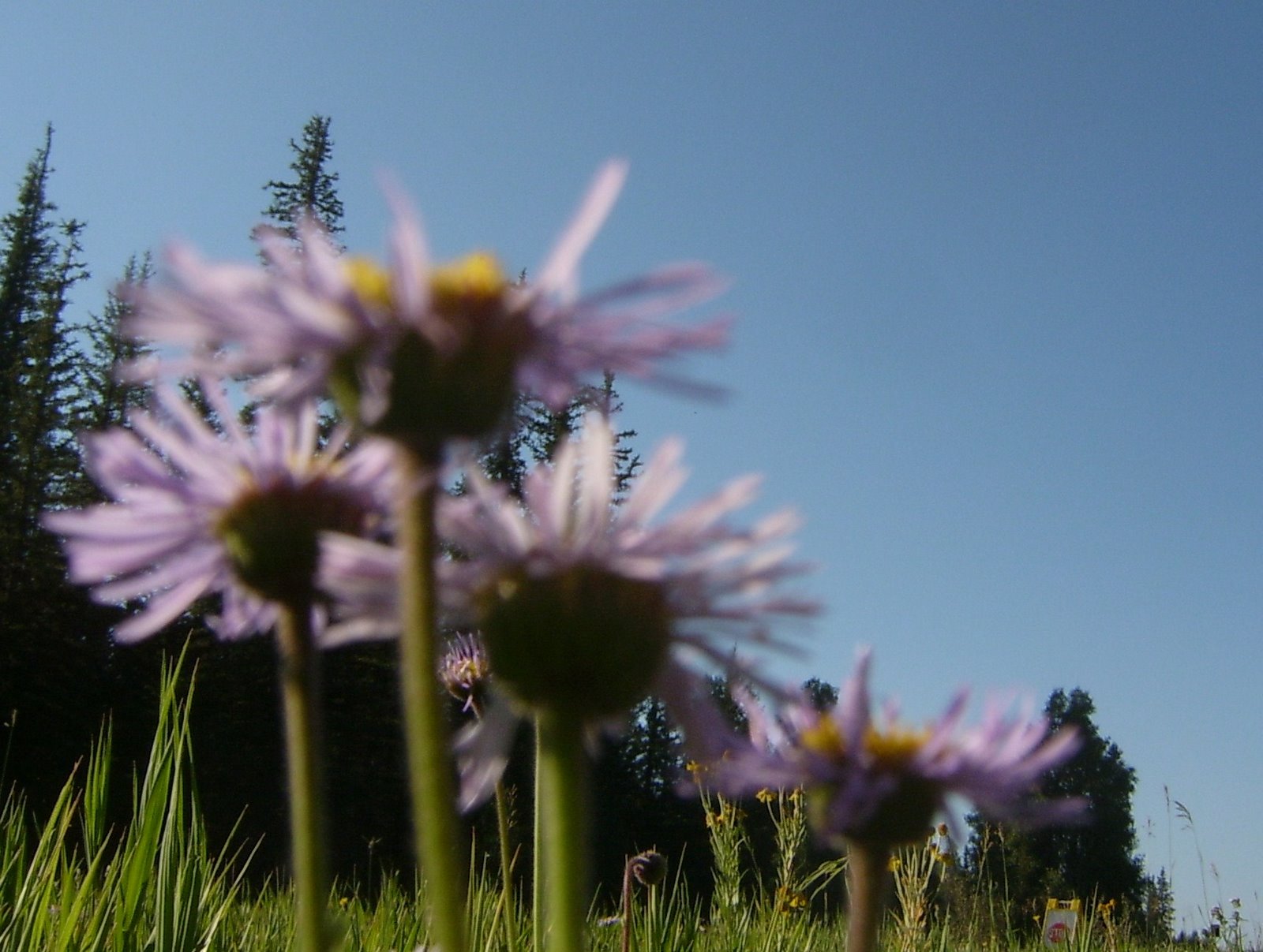 [S4200042.JPG]