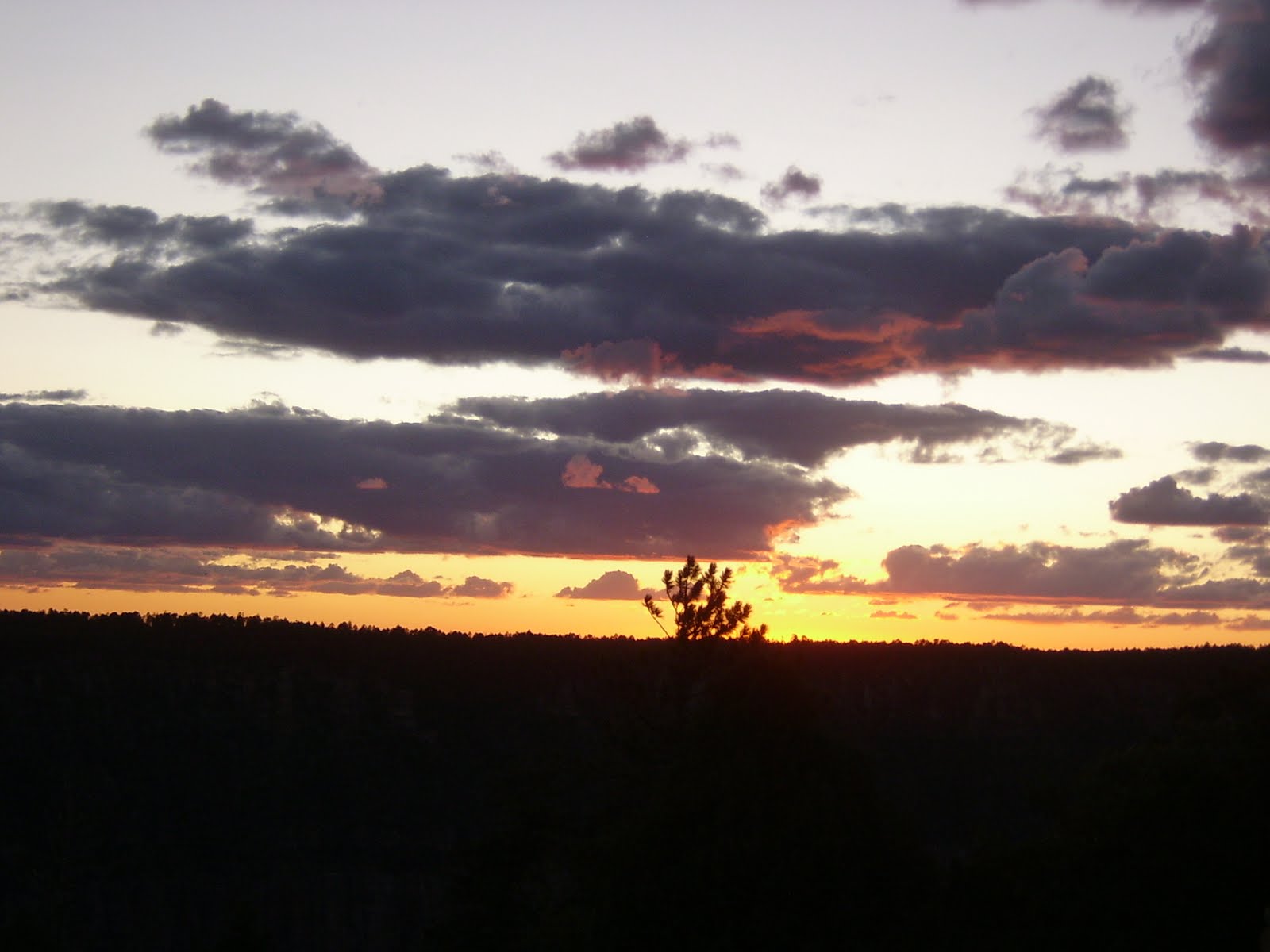[S4200035.JPG]