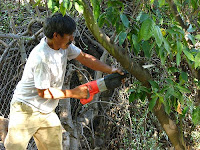 Hard working Landscaper at Dutch Touch Hard working Landscaper at Dutch Touch