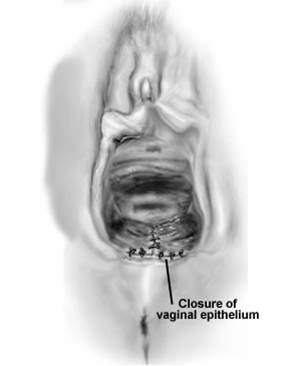 [åœ–ç‰‡b.jpg]