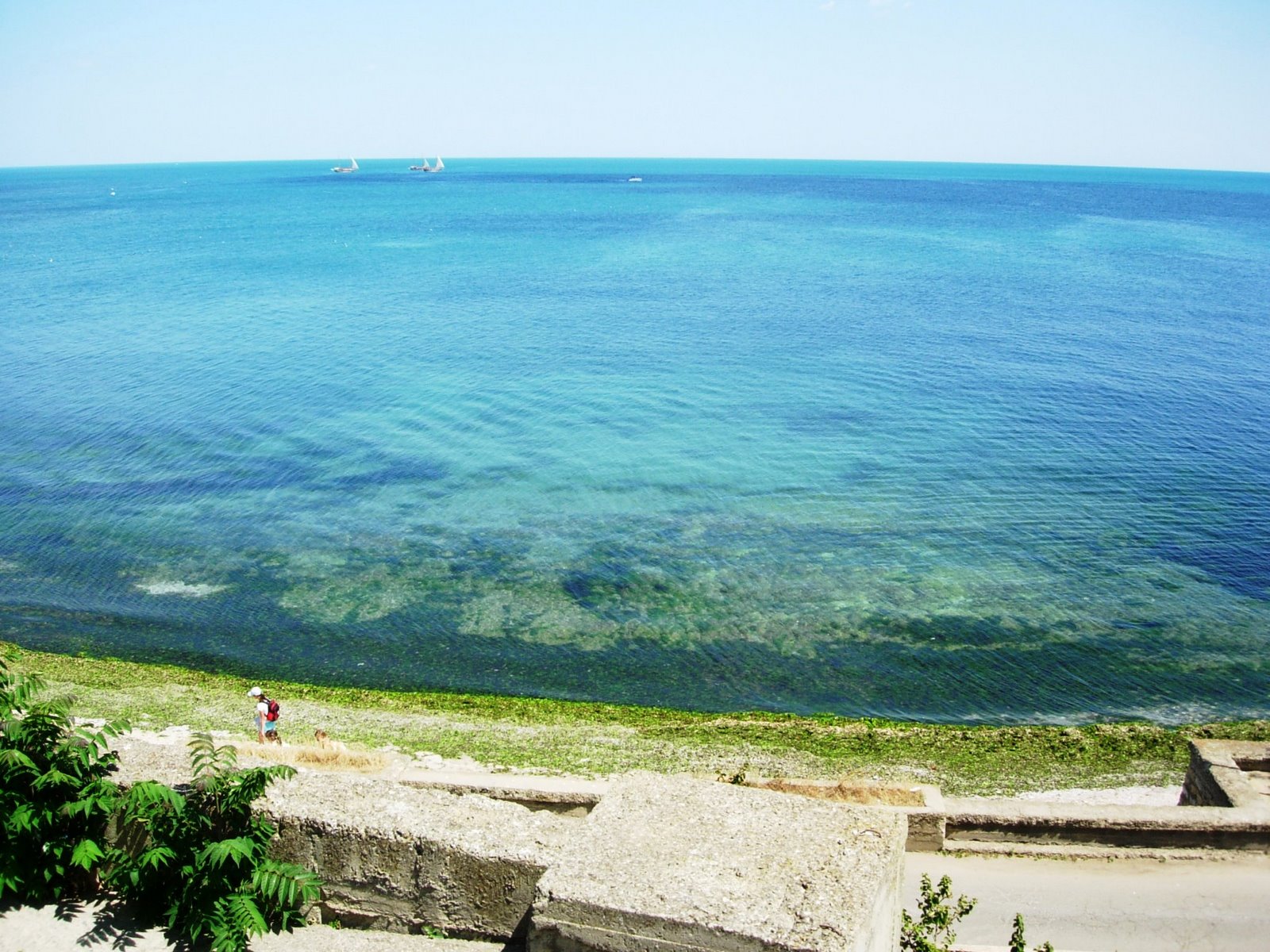 [DSCN4326.JPG]