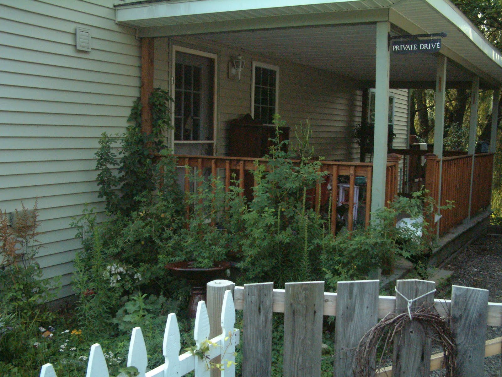 [DSCF0054.JPG]