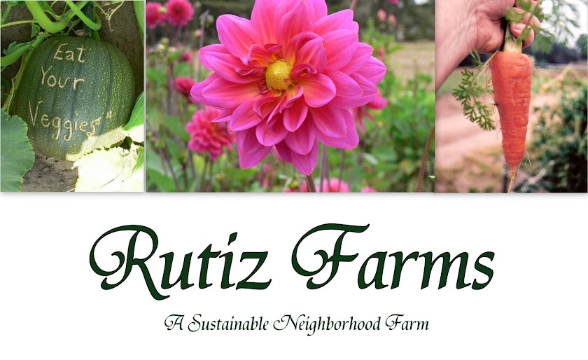 Rutiz Farms