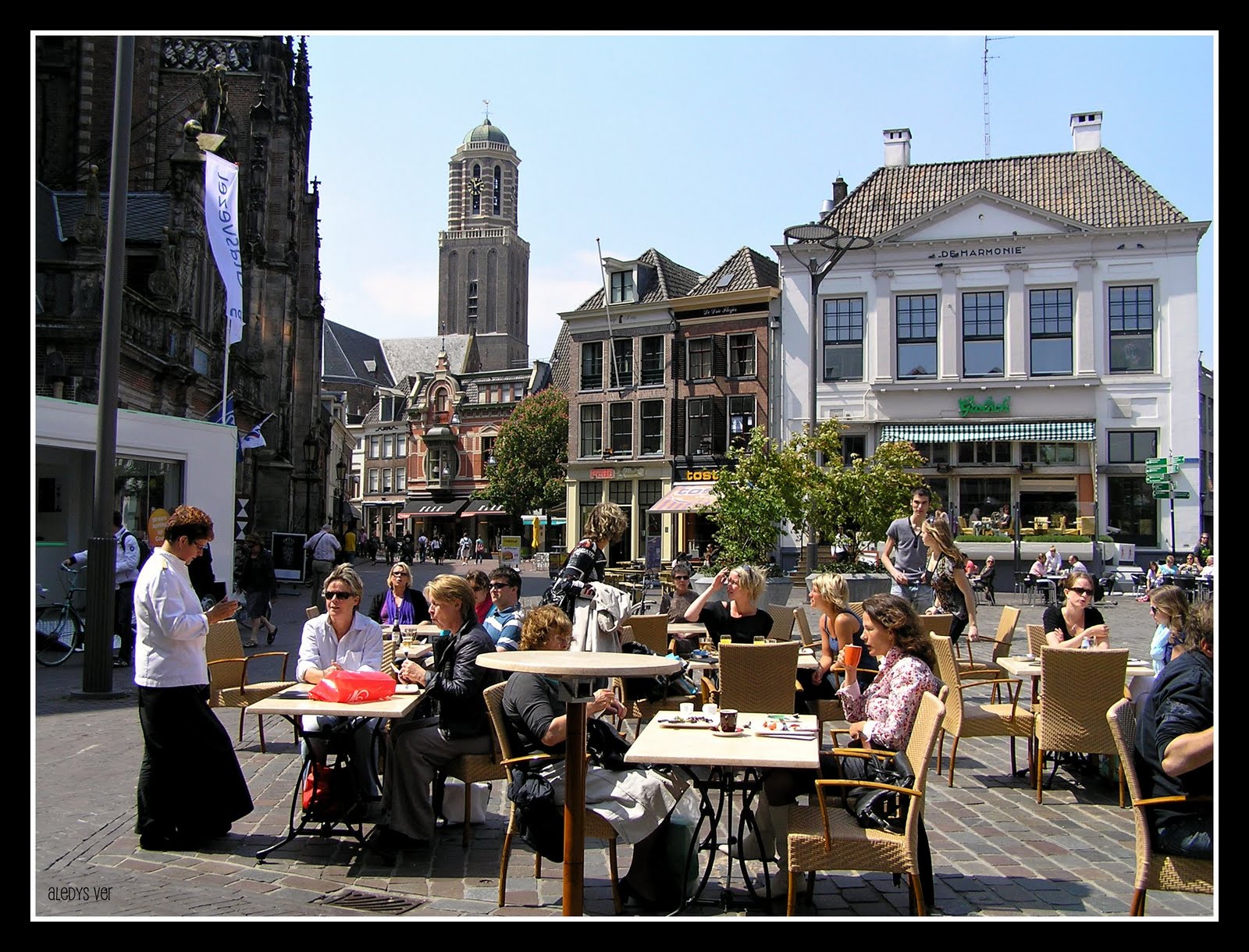 From Argentina to the Netherlands, for Love! Summer festivals in the