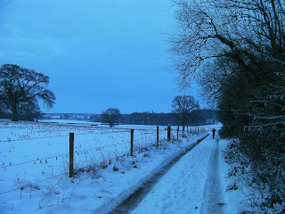 leweston school fields under snow