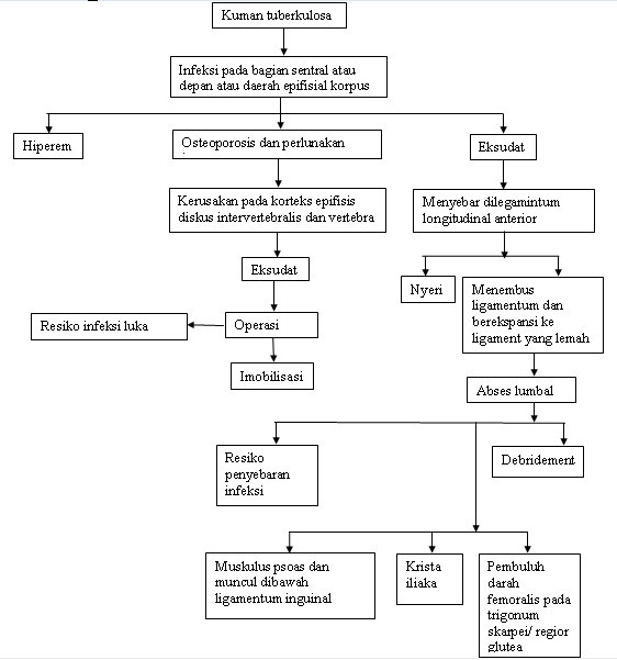 pathways pada pasien dengan spondilitis