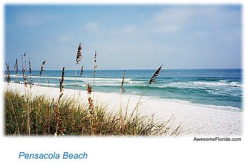 the white, sandy beaches.