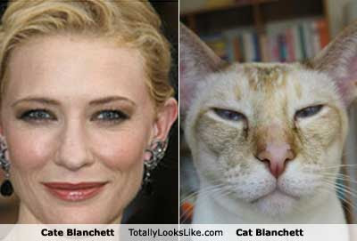 Cate Blanchett Eyes