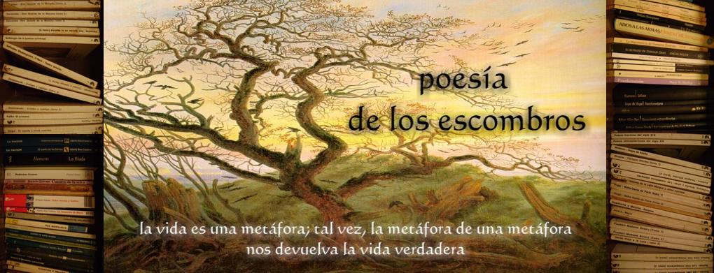 POESIA DE LOS ESCOMBROS