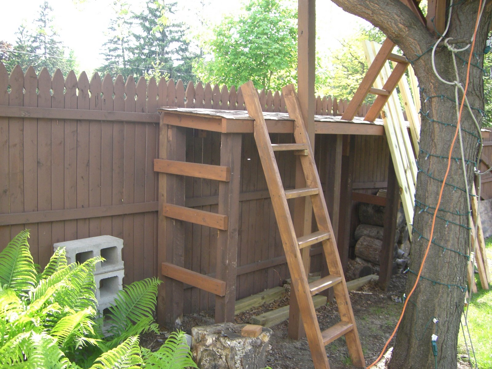 [WoodHut2.JPG]