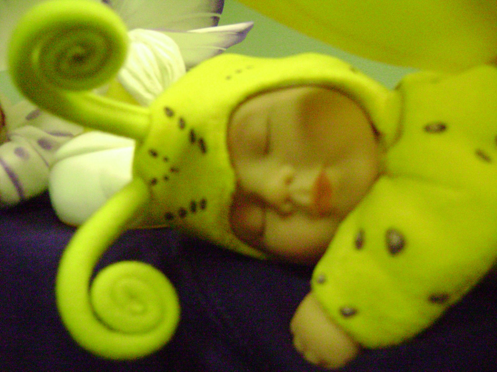 [DSC04544.JPG]