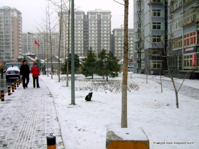 Snow view in Beijing