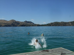 Go Jump in the Lake
