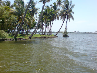 Backwaters of Kuttanad ( Kainakary )