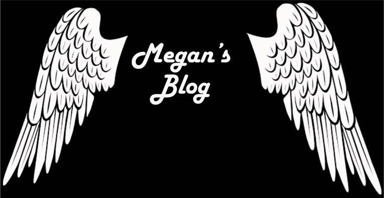 Megan Duffy Media Blog