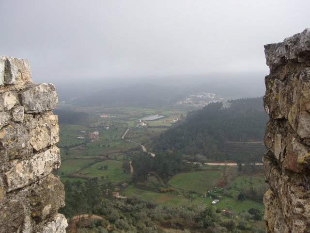 [DSC02888.JPG]