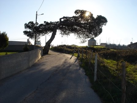 [DSC00002.JPG]