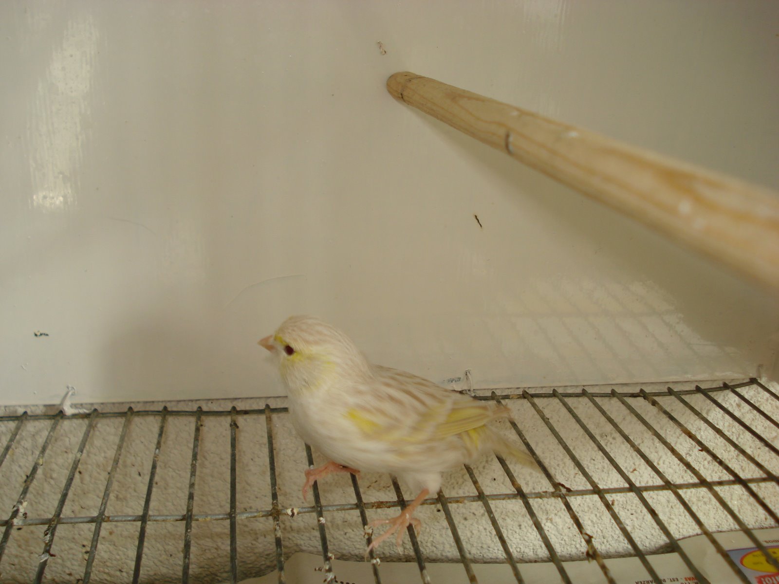 [DSC01026.JPG]