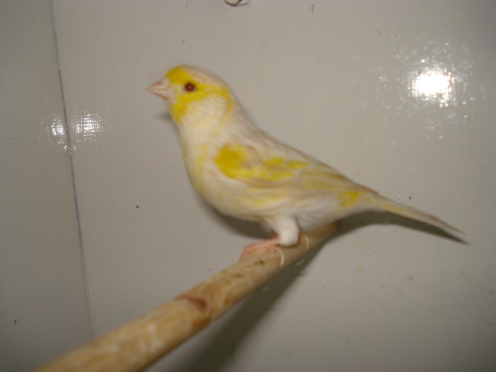 [DSC01146.JPG]